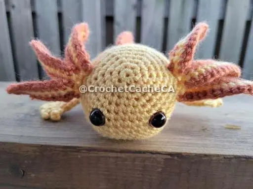 head view of orange and yellow axolotl